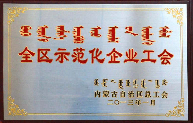 自治区-全区示范化企业工会