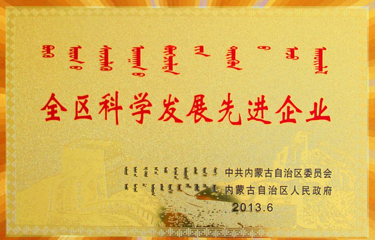 自治区-全区科学发展先进企业